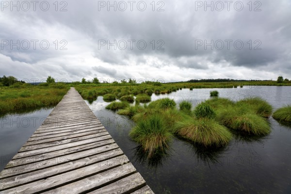 The High Fens, Brackvenn, raised bog, wooden plank hiking trail, in Wallonia, Belgium, on the border with Germany, Europe