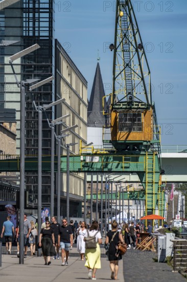 The Crane Houses in Cologne South, on the Rhine, at the old customs harbour, high-rise residential and office buildings, Cologne, North Rhine-Westphalia, Germany, The Crane Houses in Cologne South, on the Rhine, at the old customs harbour, high-rise residential and office buildings, Promenade on the Rhine, Cologne, North Rhine-Westphalia, Germany, Europe