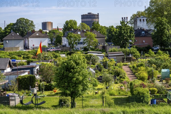 Allotment garden site allotment garden association Haus-Knipp e.V, in Duisburg-Beeckerwerth, on the Rhine dike, behind the ThyssenKrupp Steel steelworks, North Rhine-Westphalia, Germany, Europe