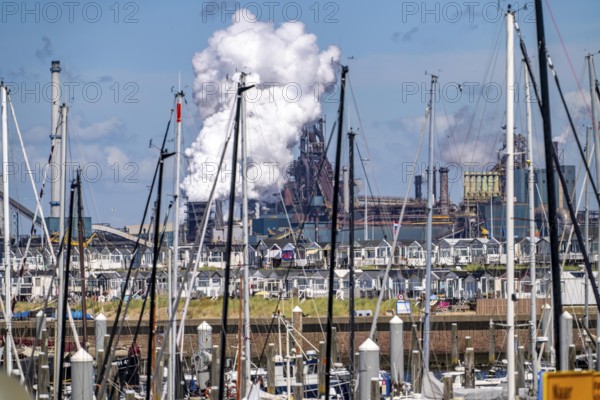 Seaport Marina IJmuiden, marina, sailing boats, yachts, behind the Tata Steel steel and smelting works in IJmuiden, Velsen, North Holland, Netherlands, largest industrial area in the Netherlands, 2 blast furnaces, 2 coking plants, rolling mills, directly on the North Sea, beach houses near Ijmuiden aan Zee