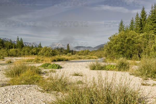 Isar valley nature conservancy area on an early sunny morning. The wild Isar river flows through its gravel bed past driftwood and entrained trees and bushes