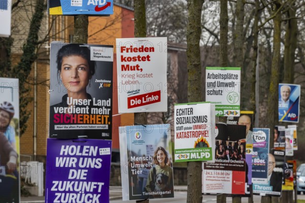 Election posters for the Bundestag election 2025, BTW25. Election advertising of various parties on a street in Heilbronn, Baden-Württemberg, Germany, Europe