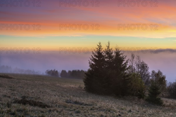 Sunrise with intense morning red on Rauhhügel, spruces on mountain meadow, morning mist in the lowlands, Schmiedefeld, Thuringian Forest, Thuringia, Germany, Europe