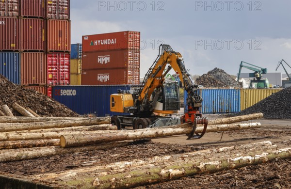 Cologne, North Rhine-Westphalia, Germany - Port of Cologne Niehl, logs are loaded into containers for export, container warehouse at the container terminal