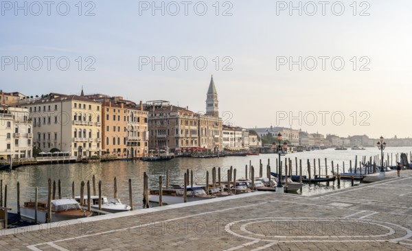 Motorboats and gondolas on the Grand Canal in the morning light, Campanile in the background, Venice, Veneto, Italy, Europe