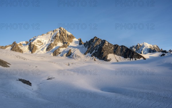 High alpine mountain landscape at sunset, summit of Aiguille de Chardonnet and Aiguille Verte, Glacier du Tour in the evening light, glacier and mountain peaks, Chamonix, Haute-Savoie, France, Europe