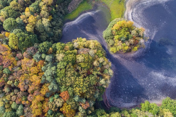 Mixed forest in autumn, colouring, aerial view, forest, autumnal, Ahlhorn fish ponds, Niedersächsische Landesforst, Ahlhorn, Lower Saxony, Germany, Europe