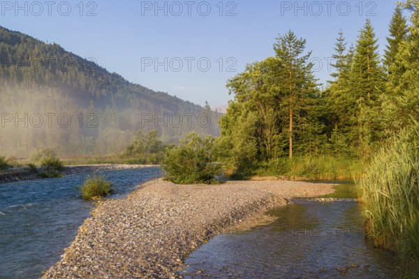 Isar valley nature conservancy area. The wild Isar river flows through its gravel bed past driftwood and entrained trees and bushes . Early morning