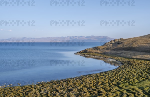 Highlands, Song Kul mountain lake, Naryn region, Kyrgyzstan, Asia