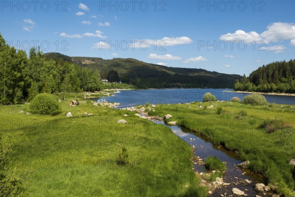 Lake and mountains in summer, Schluchsee, Black Forest, Baden-Württemberg, Germany, Europe