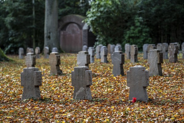 War graves at the Stadtwald cemetery in Essen-Kettwig, Essen, North Rhine-Westphalia, Germany, Europe