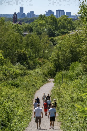 Hiking trail on the Zollverein slagheap 4/11, in Gelsenkirchen, with a view of the city centre of Essen, Germany, Europe