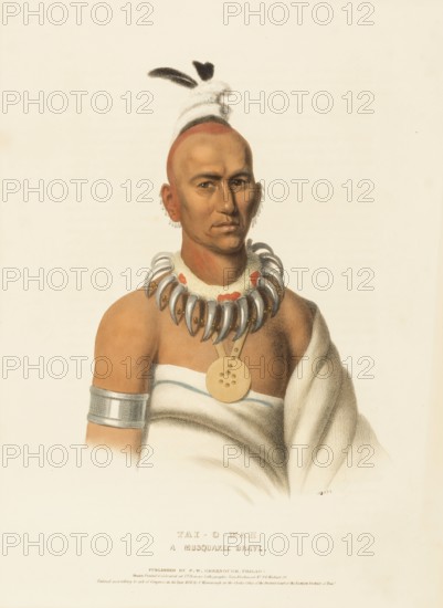 Tai-O-Mah. A Musquakee Brave (1838), Native American, Historical Native American tribes from North America, Charles Bird King (1785, 1862), Historical, digitally restored reproduction from a 19th century original, Record date not stated