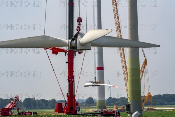 Dismantling of a wind power plant in a wind farm near Issum, 9 older wind turbines from the manufacturer Enercon (model series E-58), front, blades being dismantled, were in operation for over two decades, will be replaced by a total of four Enercon E-160 turbines, rear, assembly of the first blade, with a total output of 22 megawatts, Lower Rhine, North Rhine-Westphalia, Germany, Europe