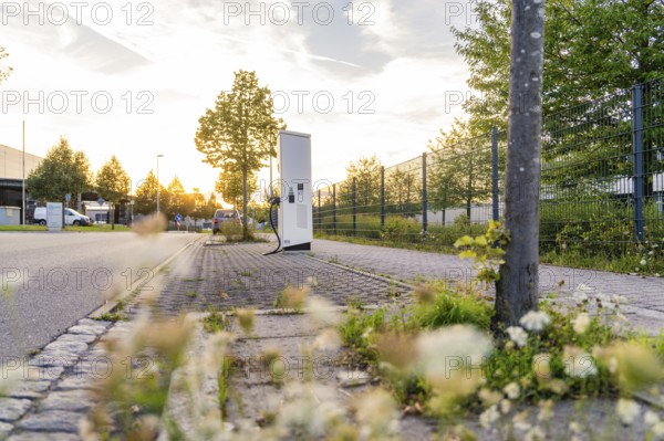 A roadside electric charging station surrounded by flowering plants and urban surroundings at sunset, Calw, Black Forest, Germany, Europe