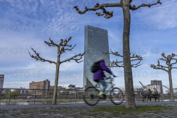 Building of the European Central Bank, ECB, cycle path on the Main in Frankfurt, Hesse, Germany, Europe