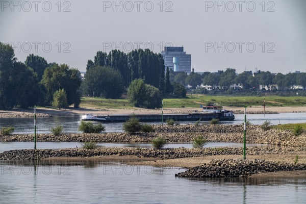 Slightly low water of the Rhine, shipping traffic on the Rhine near Düsseldorf, south of the Rhine knee bridge, North Rhine-Westphalia, Germany, Europe