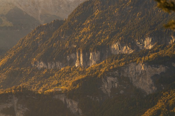 Landscape with forests and mountains in the golden light of sunset, Switzerland, Europe