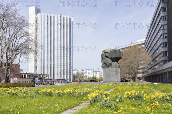 Daffodils (narcissus) blooming at the Karl Marx Monument and congress hotel next to the civic hall, Chemnitz, Saxony, Germany, Europe