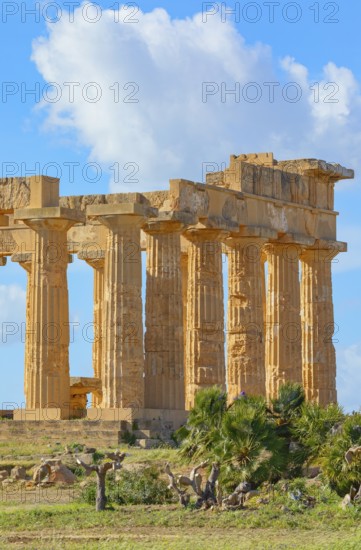 Temple of Hera or Temple E, Selinunte Archaeological Park, Selinunte, Trapani district, Sicily, Italy, Europe