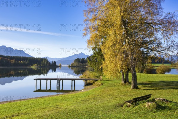 A framed, quiet mountain lake in autumn with footbridge and trees, surrounded by alpine landscape, Forggensee near Füssen, Ostallgäu, Bavaria, Germany, Europe