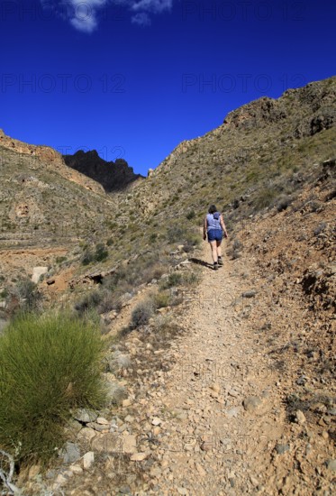 Woman walking Ruta del Agua to Huebro, Sierra Alhamilla mountains, Nijar, Almeria, Spain, Europe