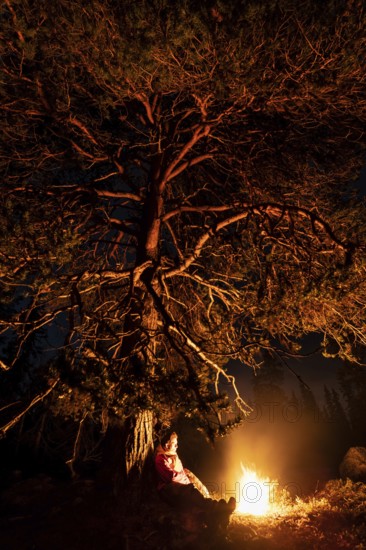 Man in the evening at a bivouac with campfire, Lapland, Sweden, Scandinavia, Europe