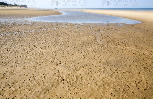 Worm casts in muddy sediment on the beach at Hunstanton, north Norfolk coast, England, United Kingdom, Europe