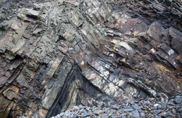 Complex folding of sedimentary rock strata in coastal cliffs at Hartland Quay, north Devon, England, United Kingdom, Europe