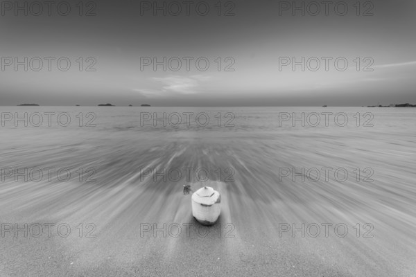 Coconut at sunrise on the beach, Koh Changi Island, Andaman Sea, Southern Thailand, Thailand, Asia