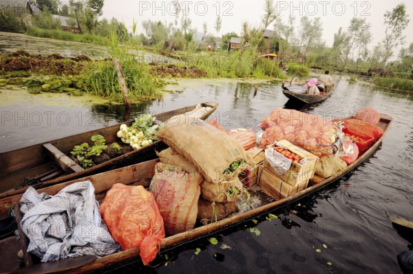 Vegetables on canoe in dal lake, Srinagar, Jammu and Kashmir, India, Asia