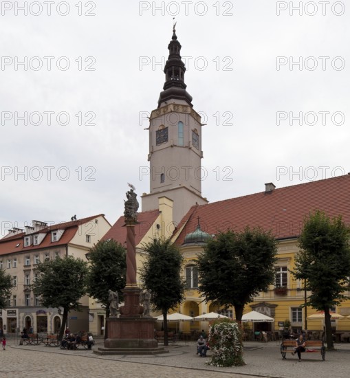 View of the town hall tower, 14th century, collapse 1967, reconstruction 2010-12, in front Trinity Column from 1693, St., Sankt, Saint