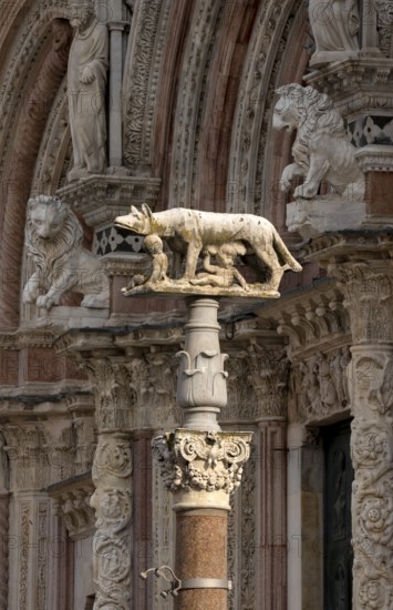 Siena, Duomo Santa Maria, Cathedral Square, detail of the west façade with the Sienese she-wolf in front of it, sculptures on the façade by Giovanni Pisano