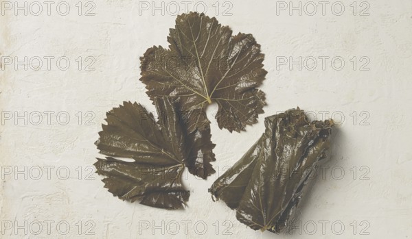 Preserved grape leaves for dolma, top view, on a white table