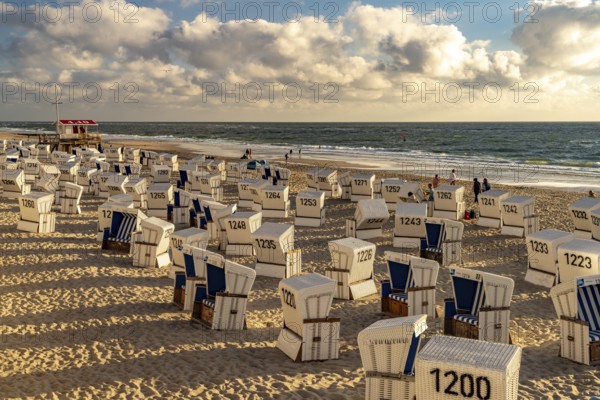 Beach chairs on the west beach near Westerland, Sylt island, North Friesland district, Schleswig-Holstein, Germany, Europe