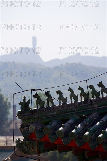 The Temple of Puning,Chengde