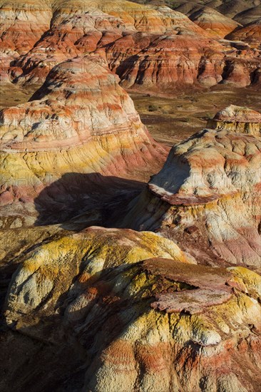 Xinjiang colorful city