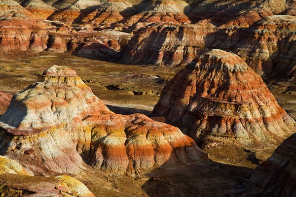 Xinjiang colorful city