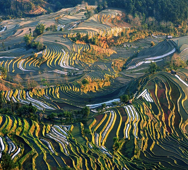 Yuanyang,Yunnan