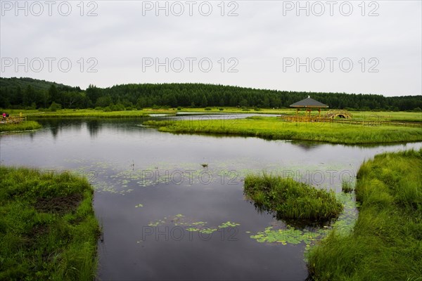 Bashang grassland in Inner Mongolia