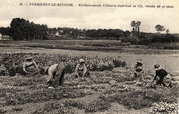 VERRIERES-LE-BUISSON