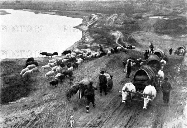 Guerre des Balkans.
Autour d'Andrinople, le ravitaillement des troupes bulgares qui investissent la ville, en 1912.