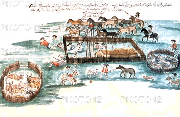 Illustration de Florian Baucke (1749-1767). Zwettler Codex. Vie des indiens Guaranis vue par un père jésuite