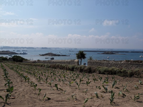 Paysage de l'ile de Batz