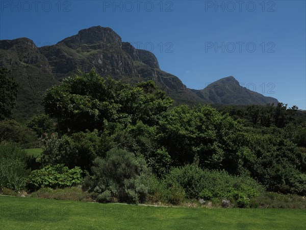 Le Cap, Jardin botanique national Kirstenbosch