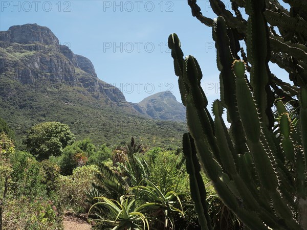 Le Cap, Jardin botanique national Kirstenbosch