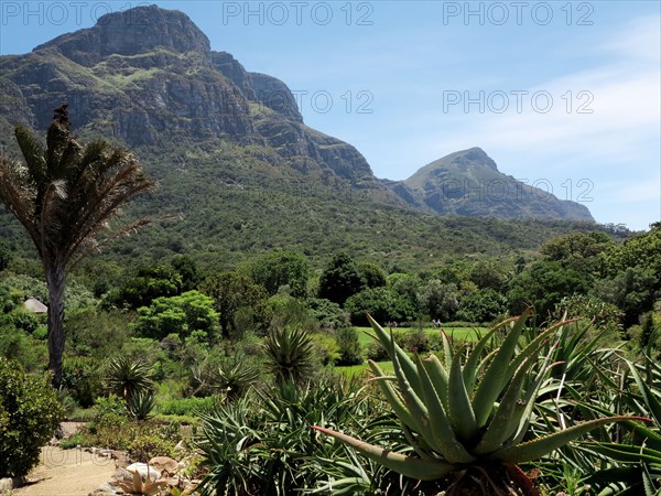 Capetown, Kirstenbosch National Botanical Garden