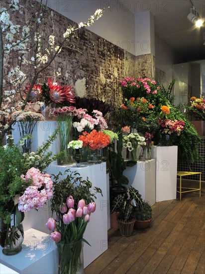 French flower shop 'Debeaulieu'
