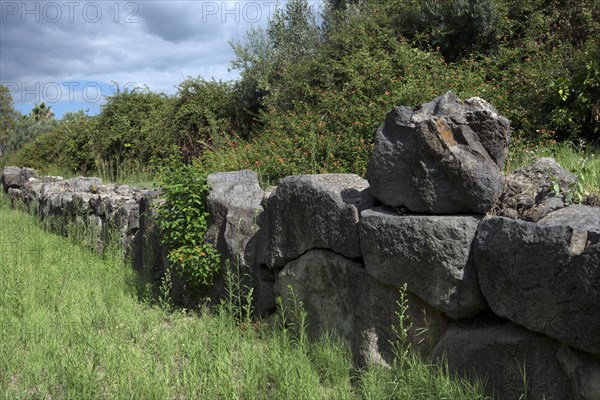 Site archéologique de l'ancienne Naxos (Sicile)