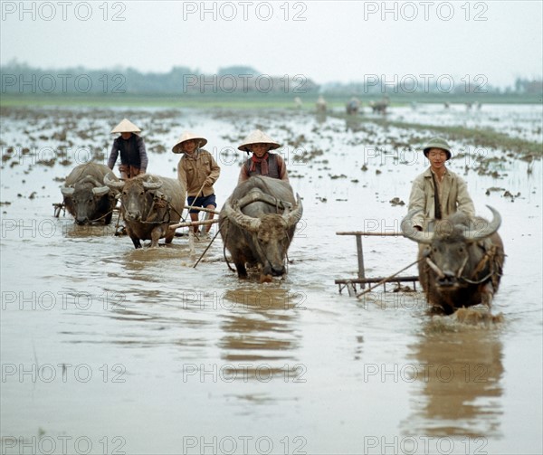 Historical Vietnam - North Vietnam 1973